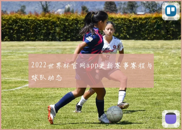 2022世界杯官网app更新赛事赛程与球队动态