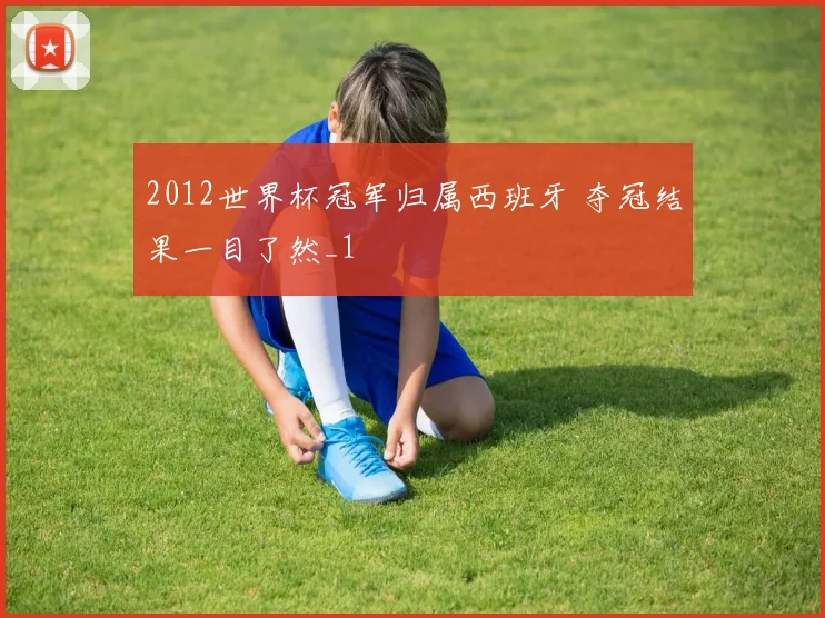 2012世界杯冠军归属西班牙 夺冠结果一目了然_1