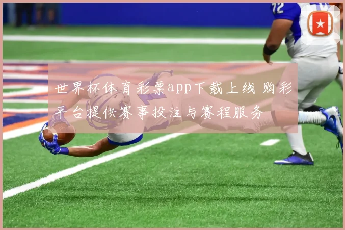 世界杯体育彩票app下载上线 购彩平台提供赛事投注与赛程服务
