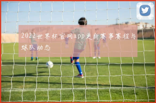 2022世界杯官网app更新赛事赛程与球队动态