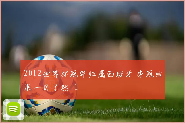 2012世界杯冠军归属西班牙 夺冠结果一目了然_1